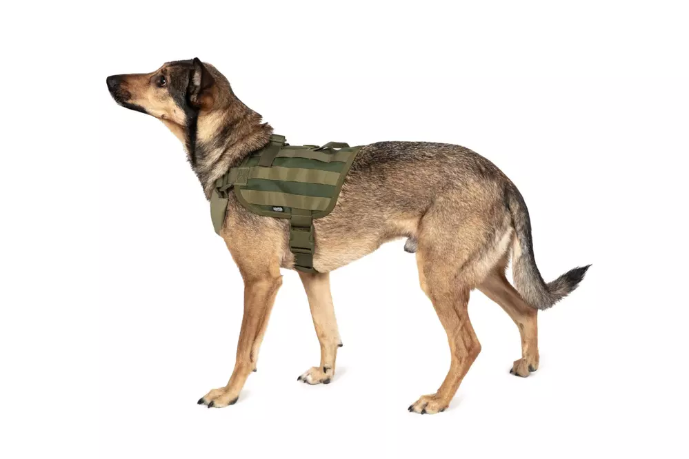 Lehká vesta pro psy - olivově zelená