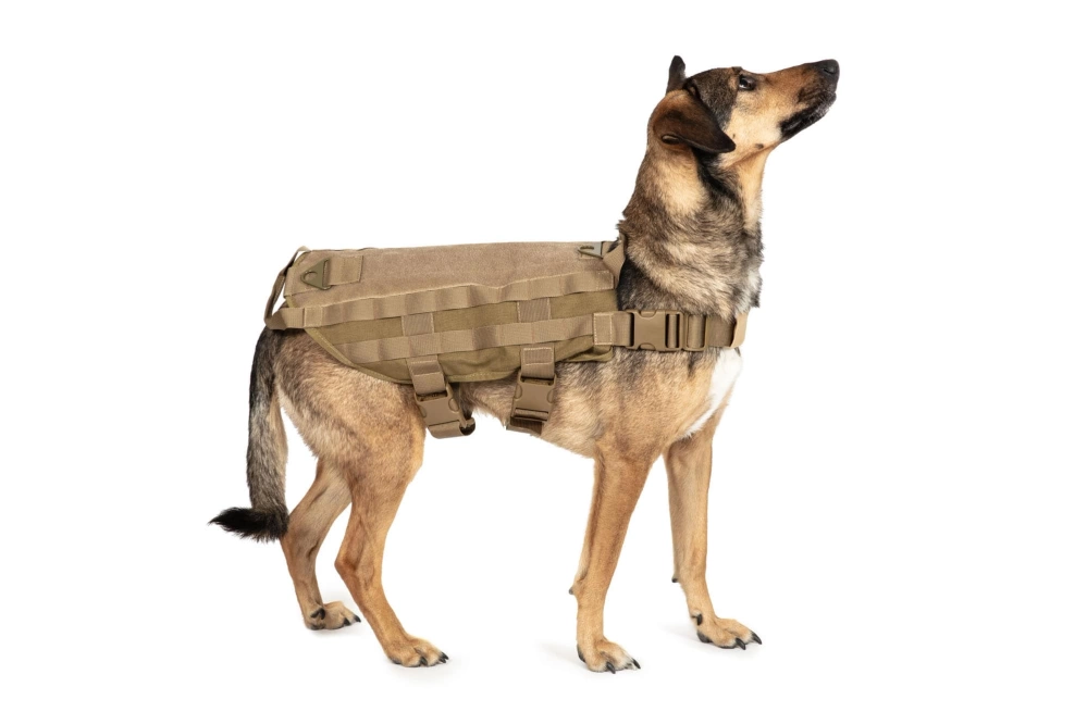 Gilet tactique pour chien - tan