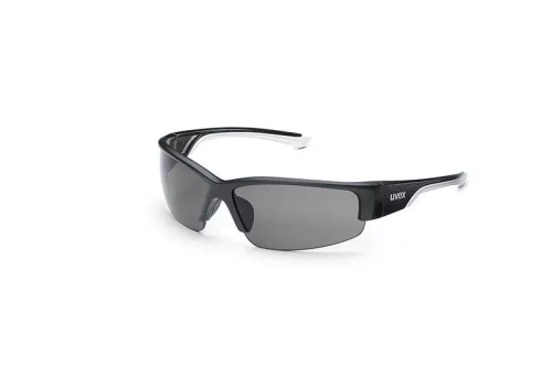 Lunettes de protection Polavision 9231.960