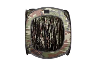 Kulochwyt Polowy - woodland